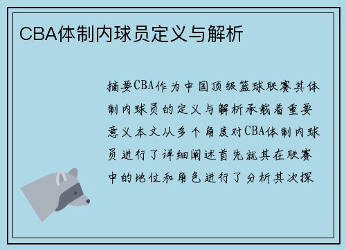 CBA体制内球员定义与解析